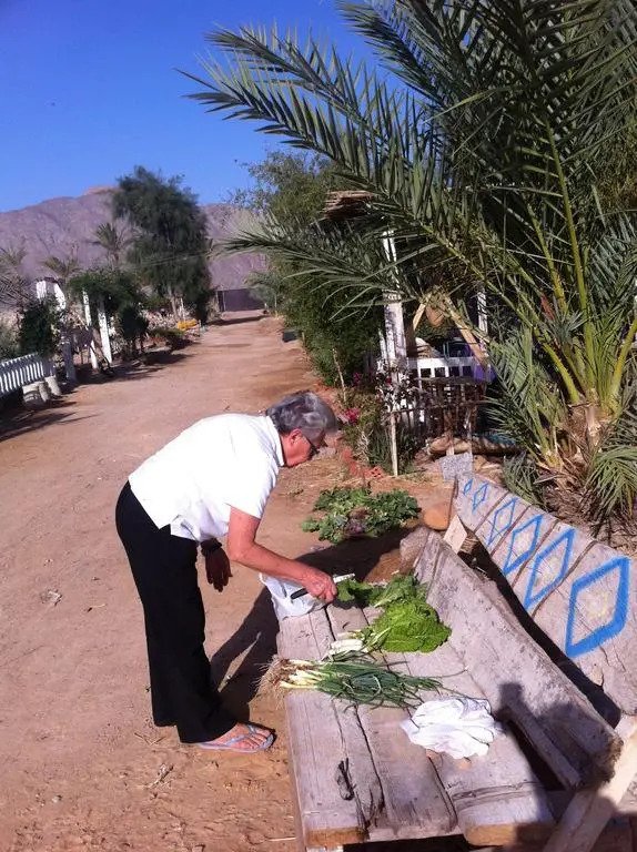 Habiba Organic Farm