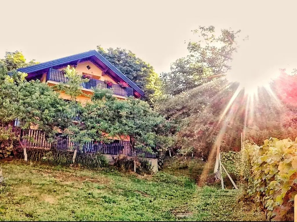 Apartman 2