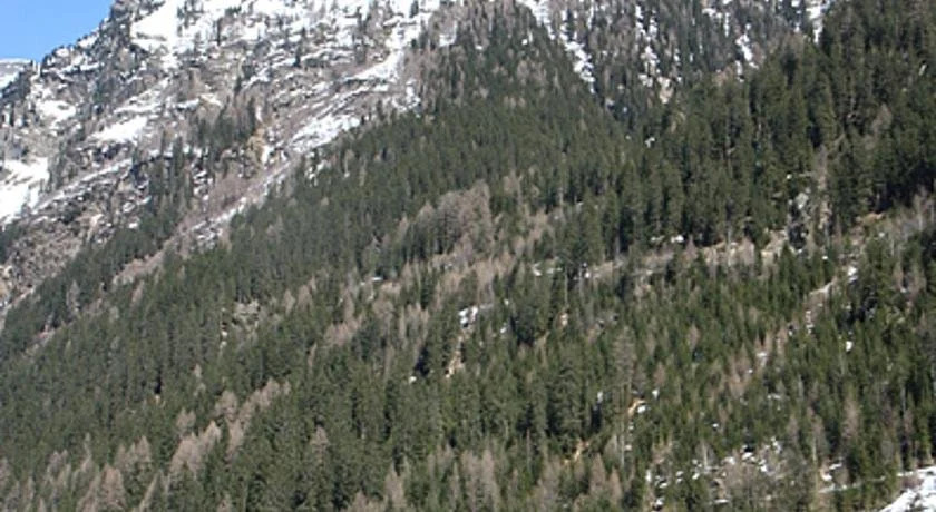 Plattnerhof Kaunertal