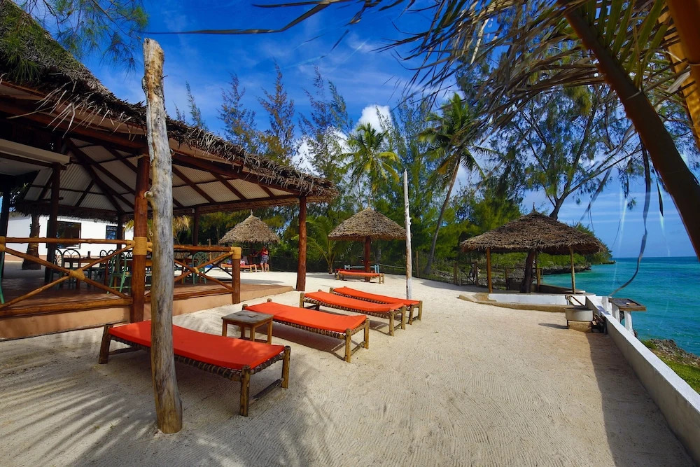Zanzibar Blue Dolphin Bay