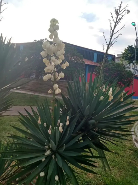 Apartamento Mob à 5 minutos da Praia do Forte dois quartos