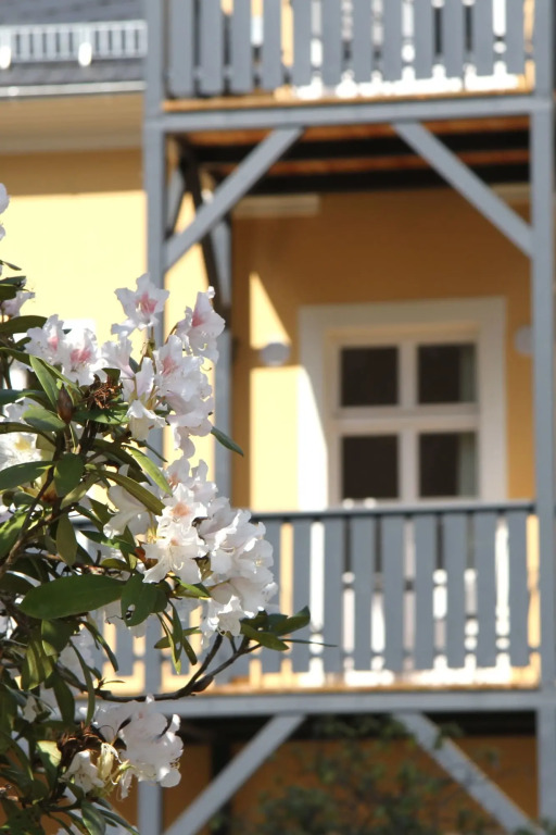 Villa Elise