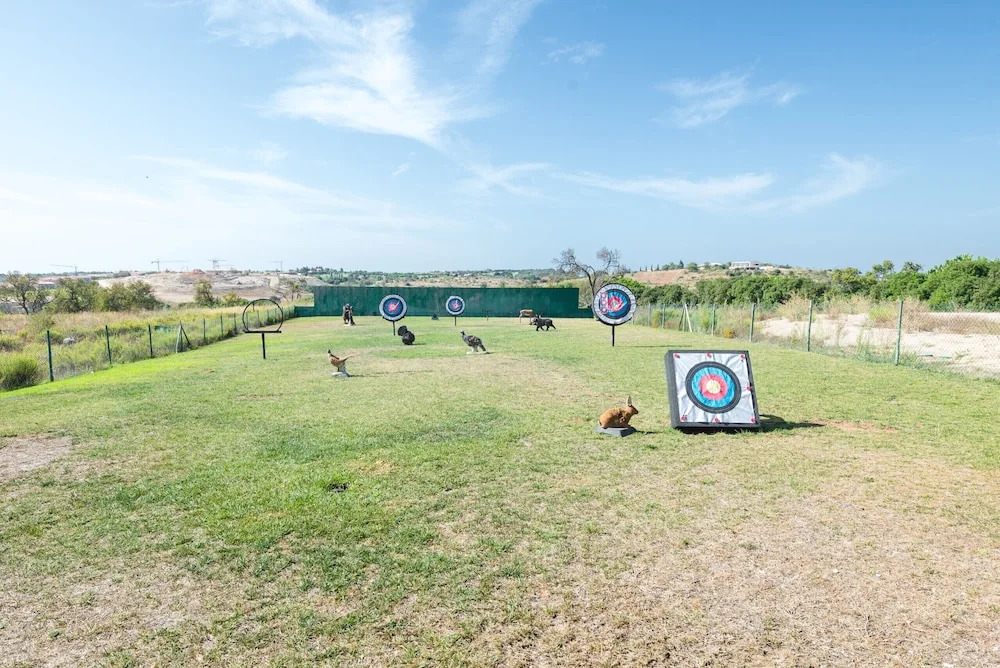 Boavista Resort - Lote 142