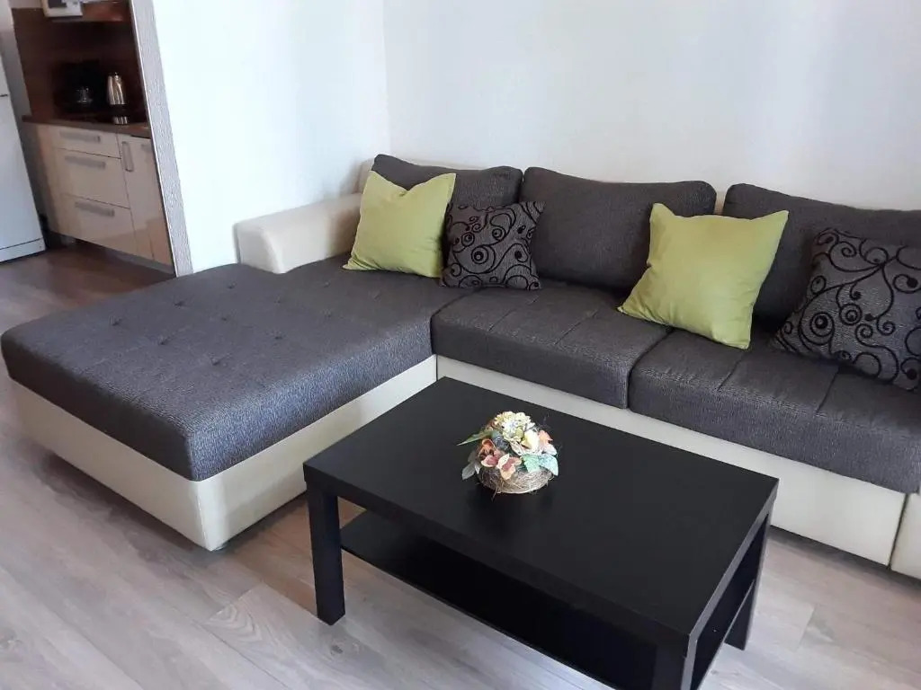 Apartment Zic