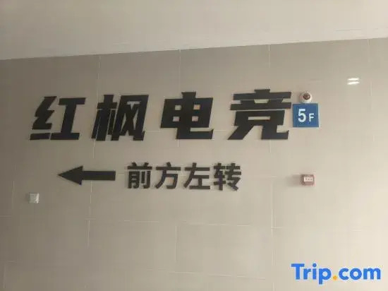 Nanjing Red Maple E-sports Homestay (Gaochun Subway Station)