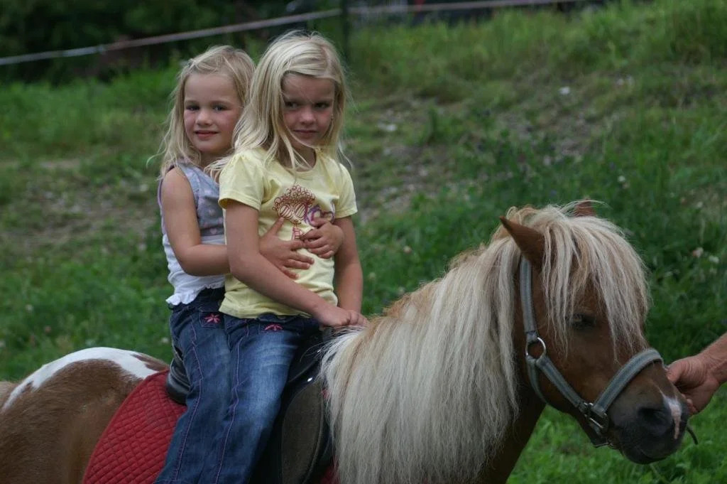 Kassnhof - der Reit- und Ponybauernhof