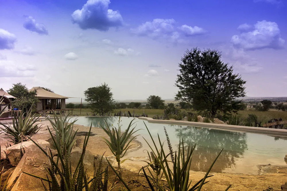 Sayari Camp - All Inclusive