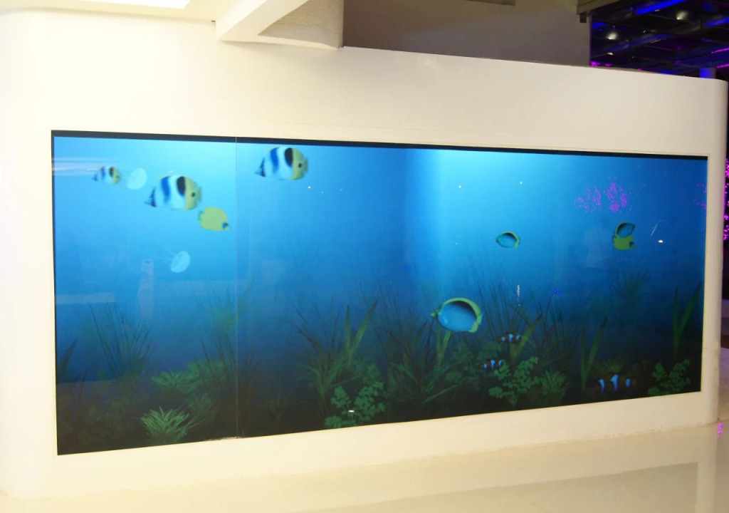 Clownfish Resort