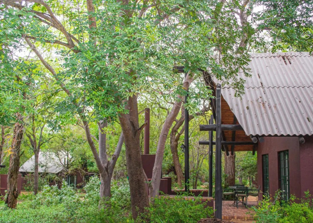 Burchells Bush Lodge by Dream Resorts