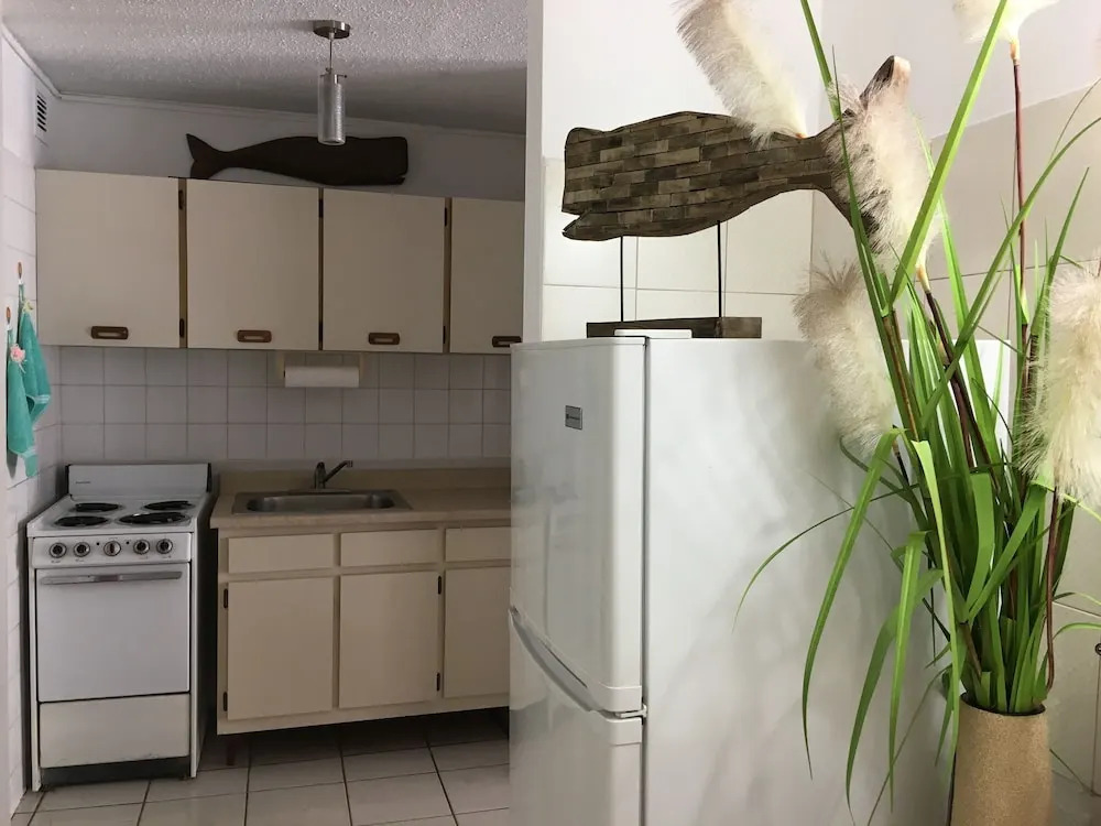 Apartamento Familiar en Isla Verde