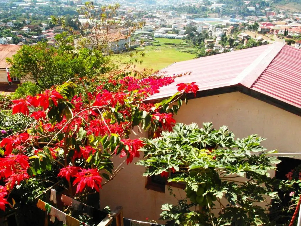 Three Palms Fianar