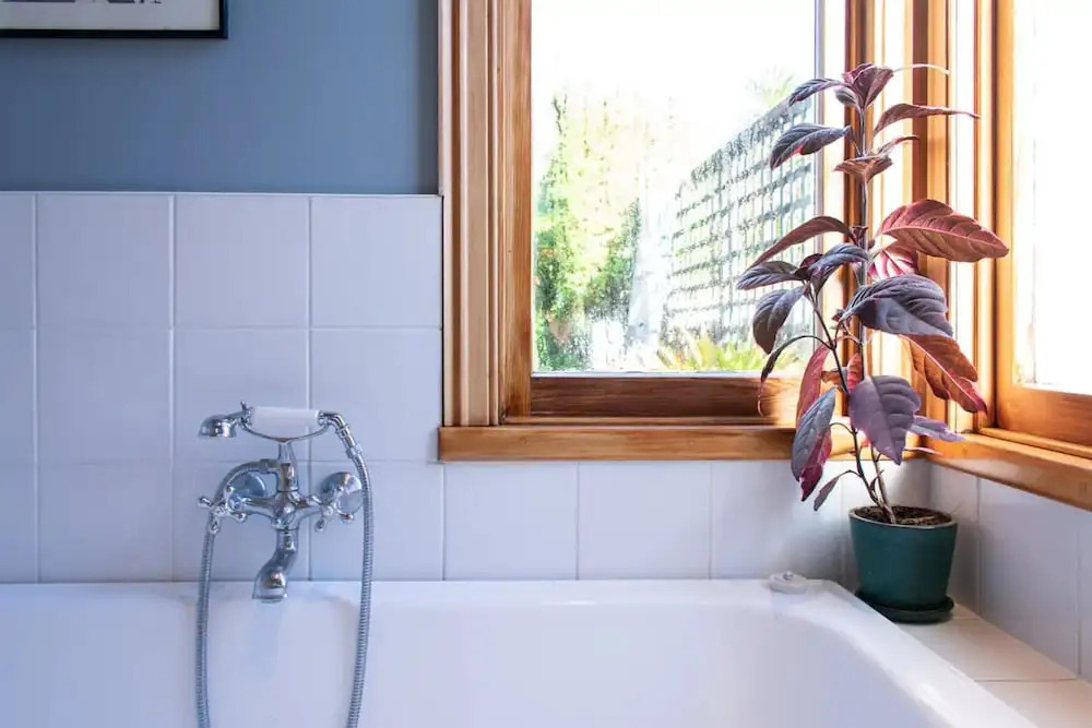 Characterful 2 Bedroom Ponsonby Villa With Private Garden