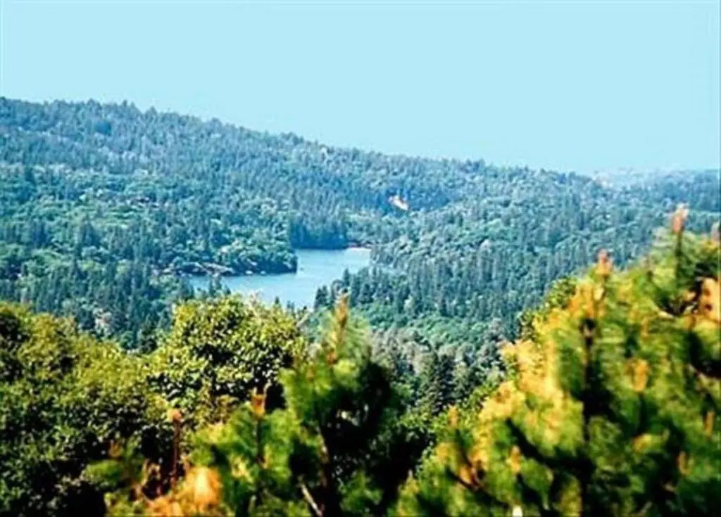 Sierra Sun Cloud Inn - Colfax