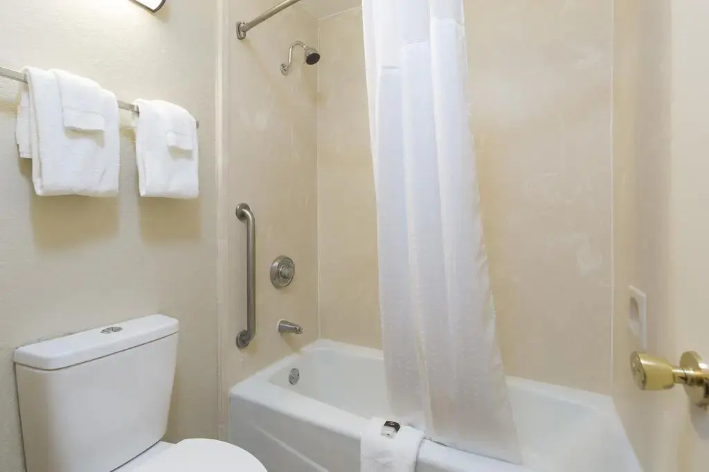 Rosen Inn at Pointe Orlando