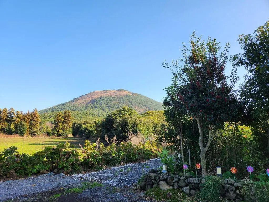 Jeju Cheol-Eun Pension