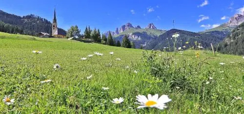 Appartamenti Arnica