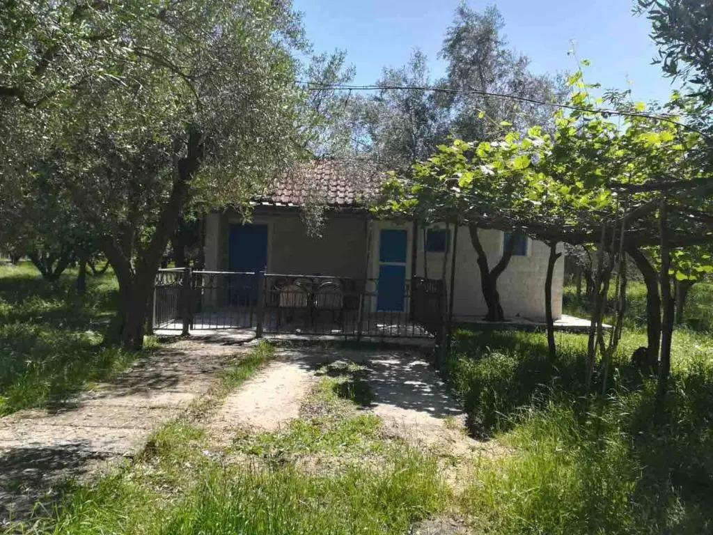 Rajana Bungalow 2olive House
