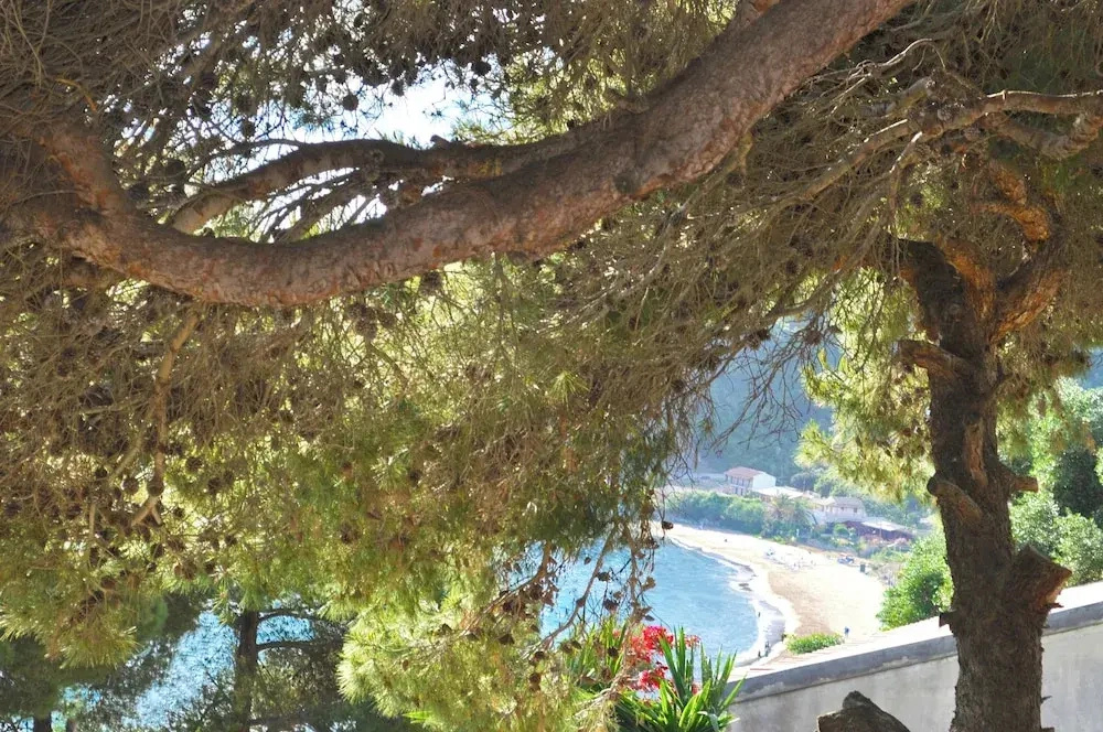 Studio Apartments With Large Swimming Pool and Sea View at Pelekas Beach, Corfu