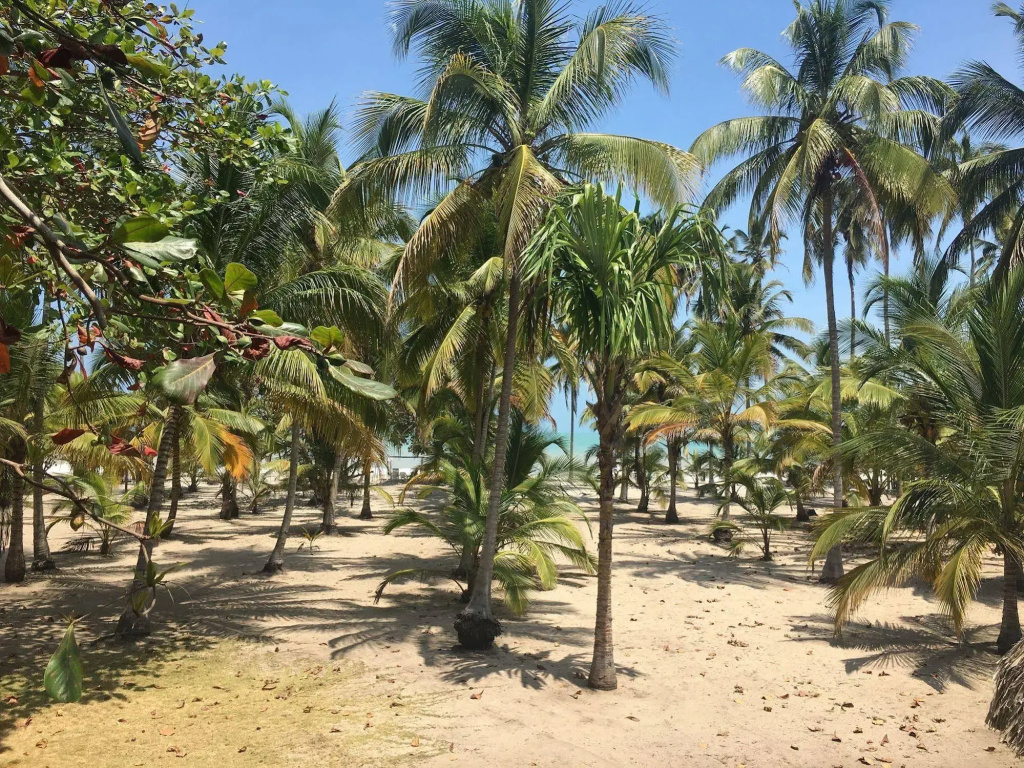 Hotel Playa Mandala