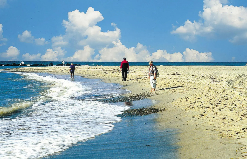 Seestern Boltenhagen 6