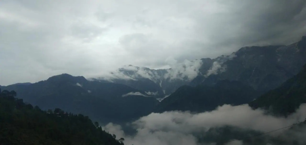 Hotel Victoriya Palace,Mcleod Ganj