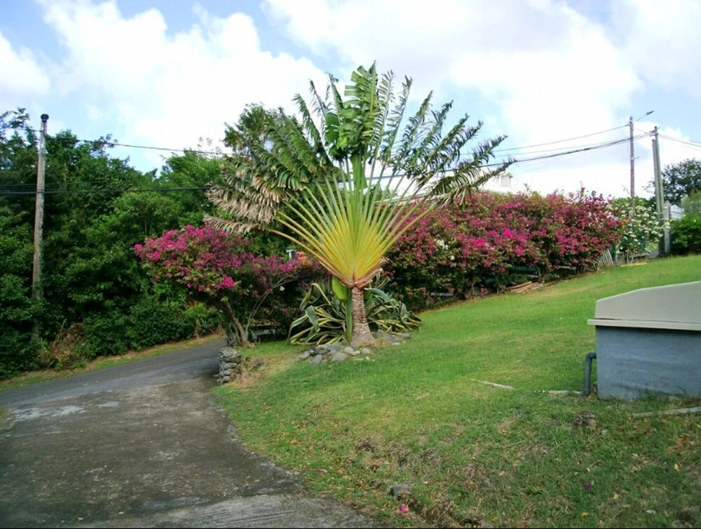 House with One Bedroom in Bouillante, with Wonderful Sea View, Shared Pool, Furnished Garden - 1 Km From the Beach