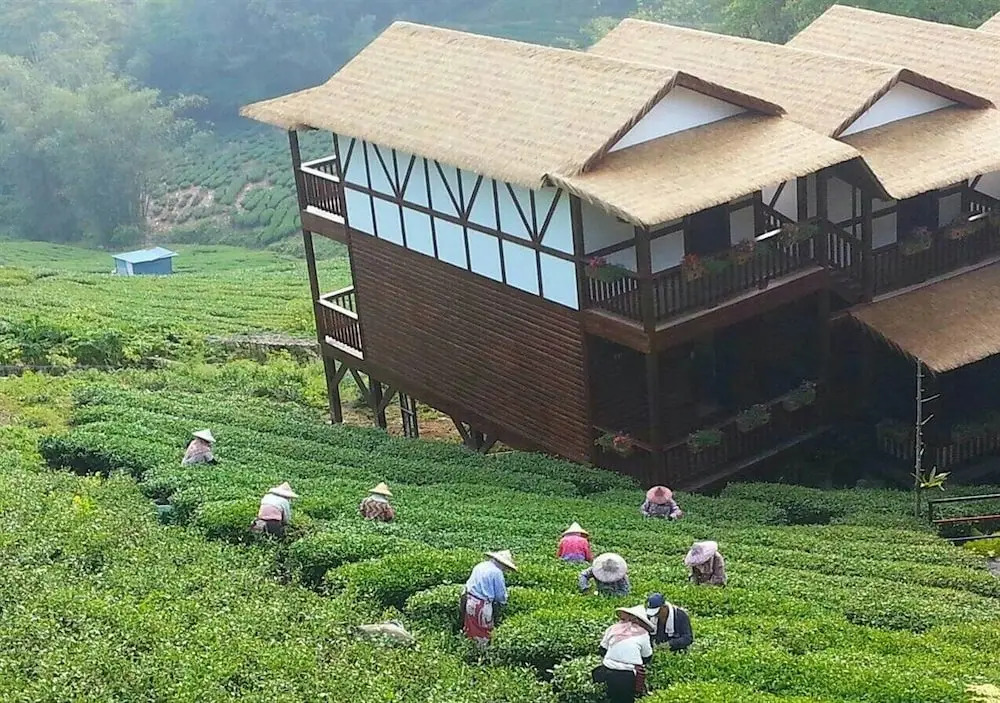 Alishan Mountain B&B