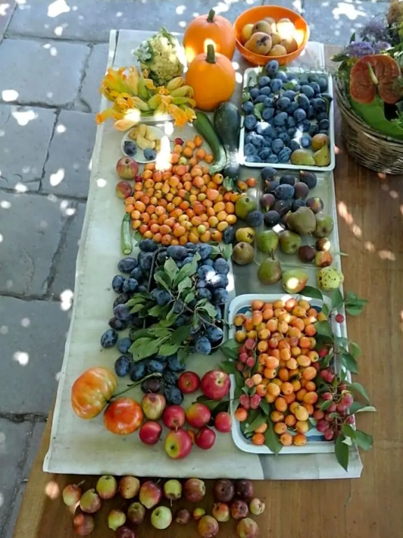 Bio&B Cascina Montebello