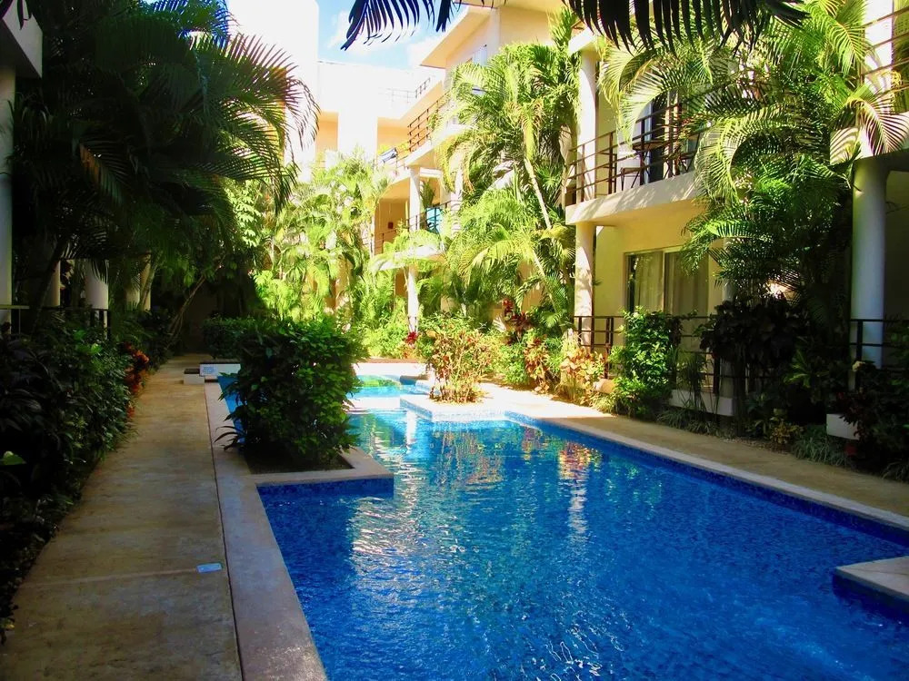 Aqua Terra Palm by Playa Paradise