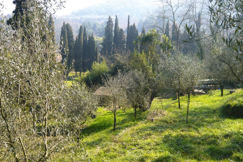 Casa Carla