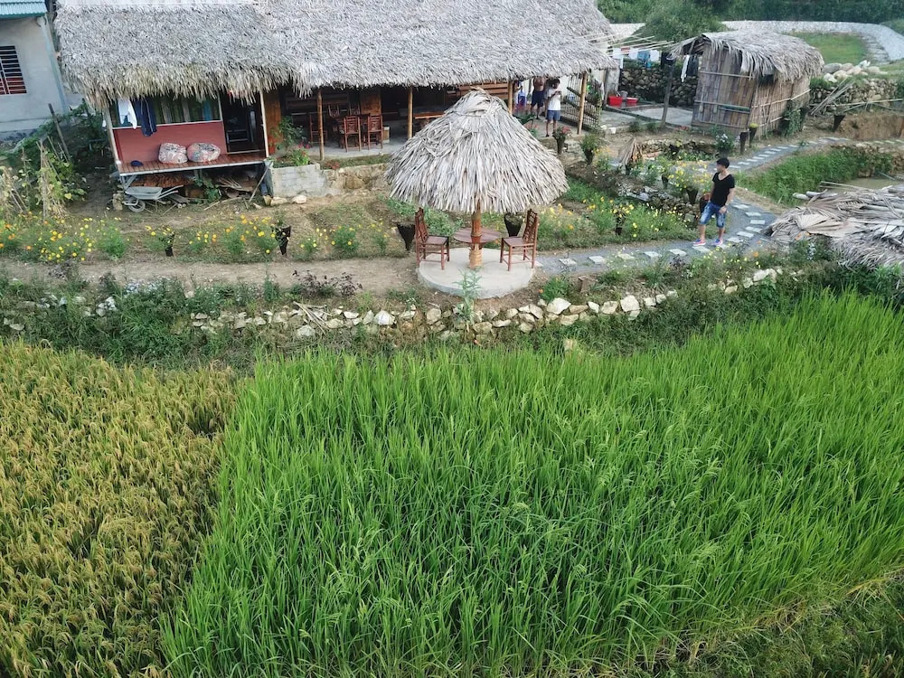 Golden Rice Garden Sapa