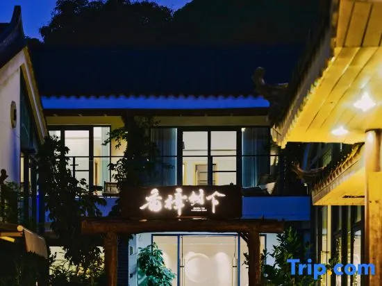 Under the Camphor Tree Guesthouse