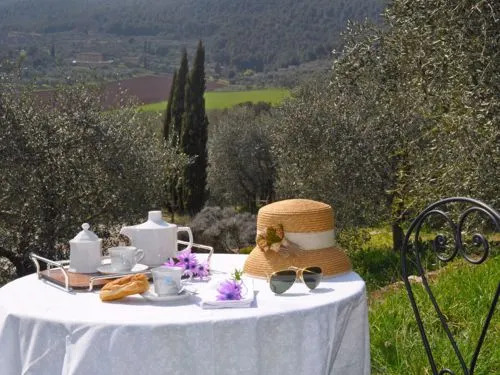 Il Castagno
