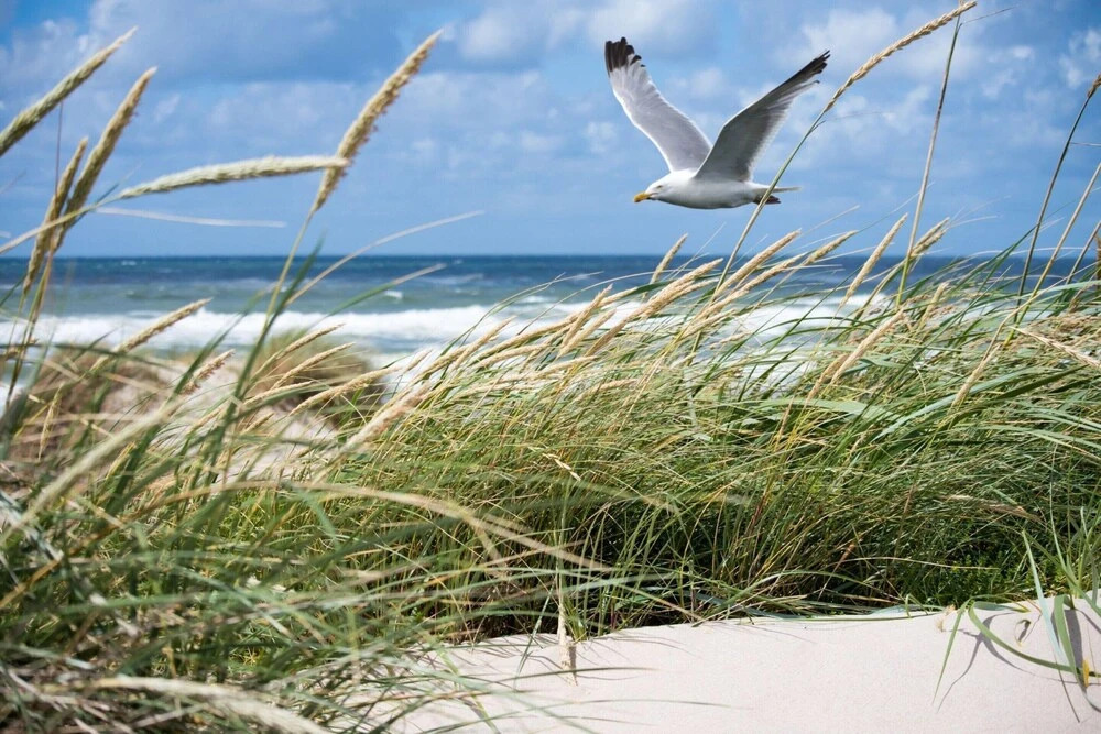 Apartment in Duinbergen Near Sandy Beach