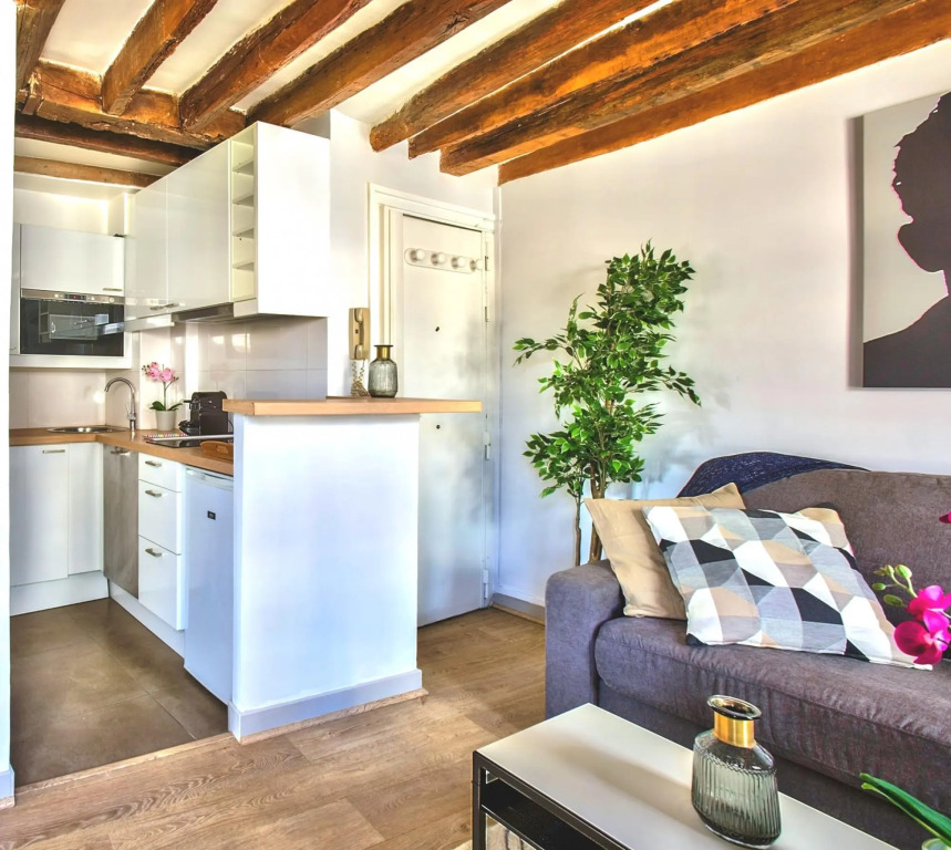 B 841  - Saint Germain des Près - Spacieux appartement