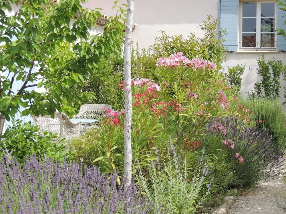 Le Bouquet de Seguret