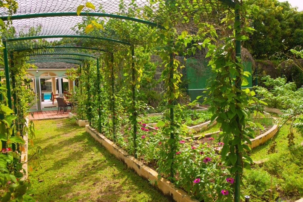 Bon Vivant Villa