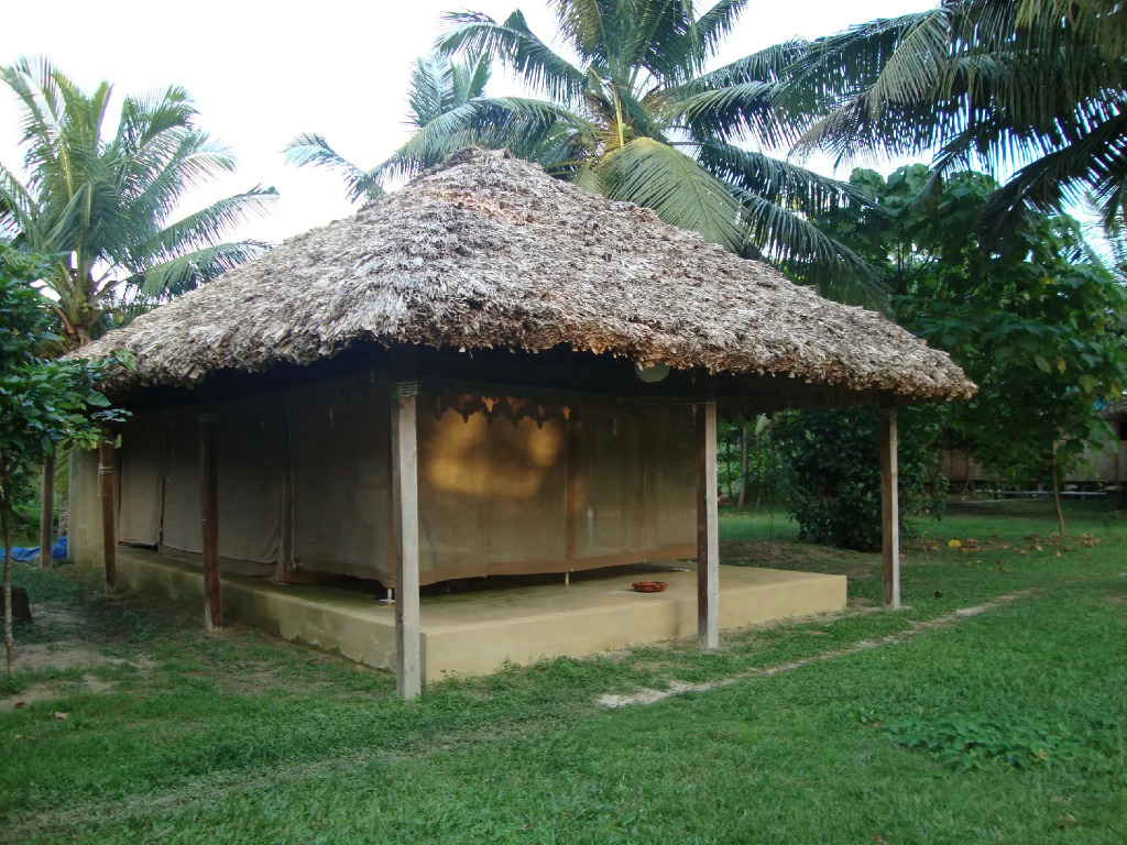 The Barefoot At Havelock