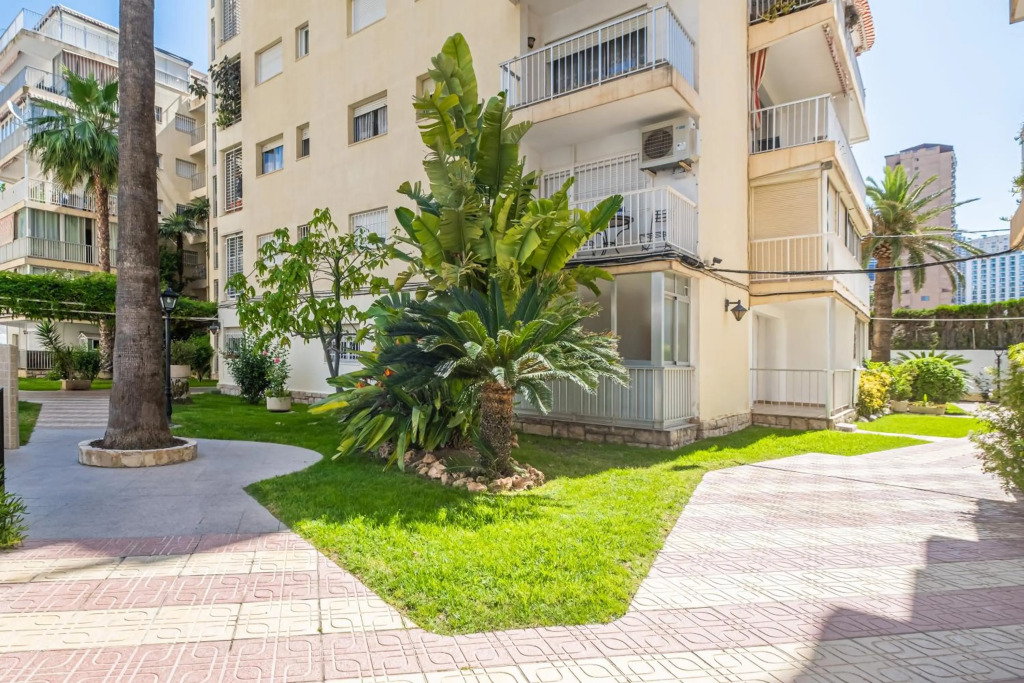 Penthouse El Pato 872