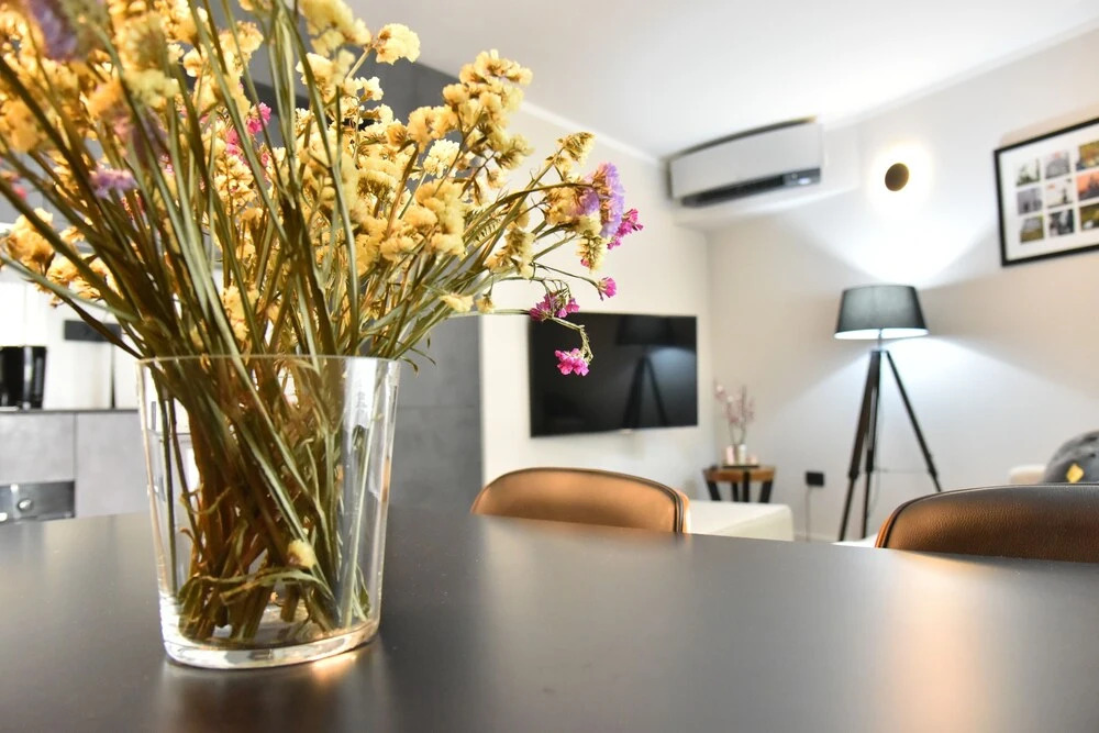 Lux Luna Apartments in city center