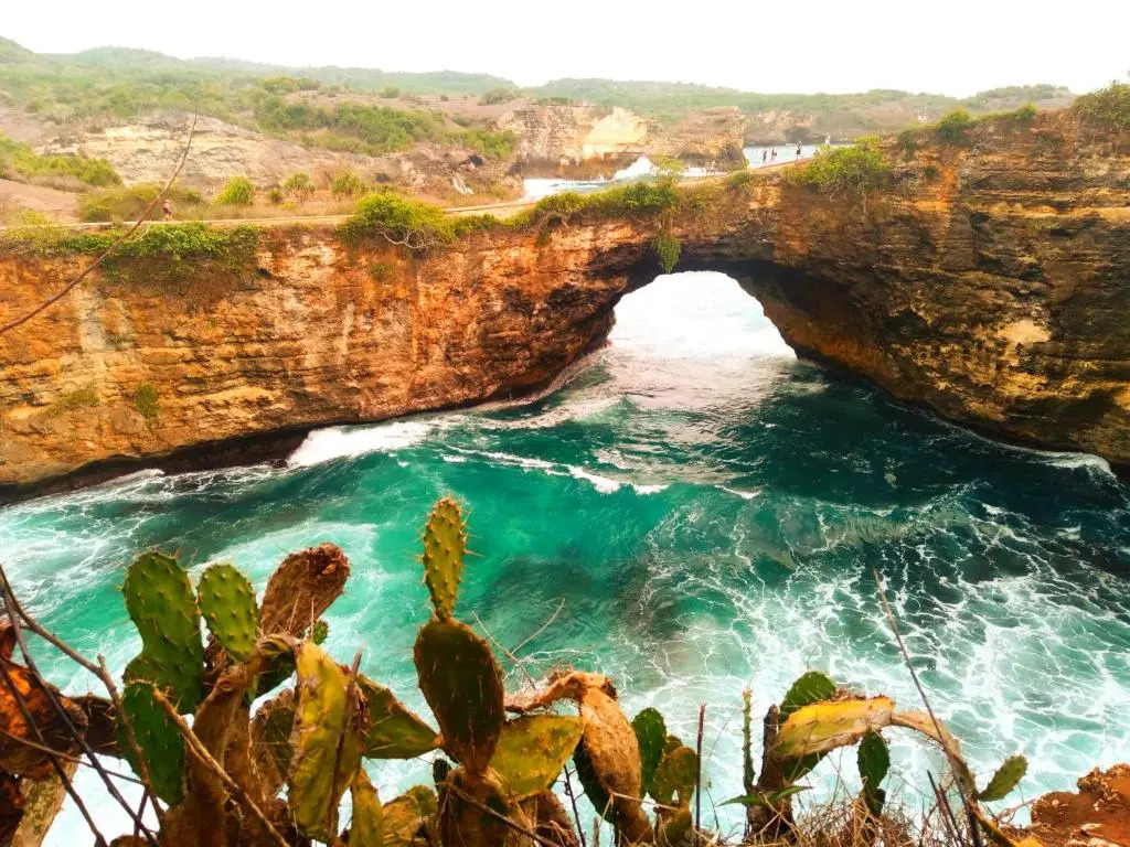 Exotic private glamping