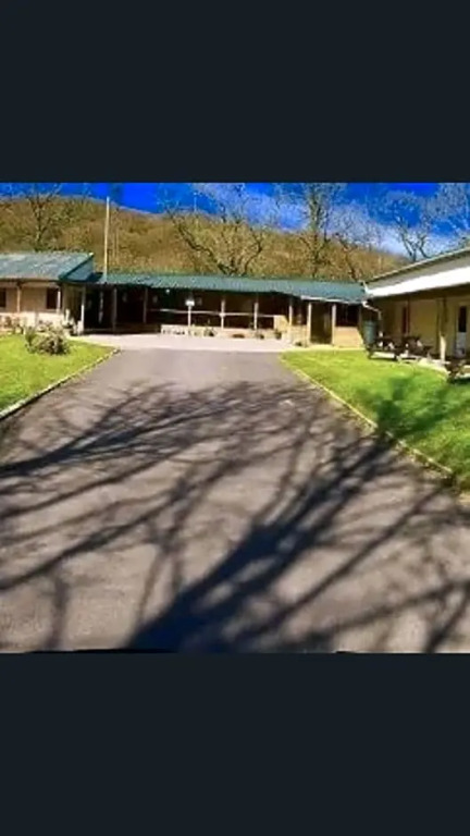 Haven of Trees - Hafan Y Coed