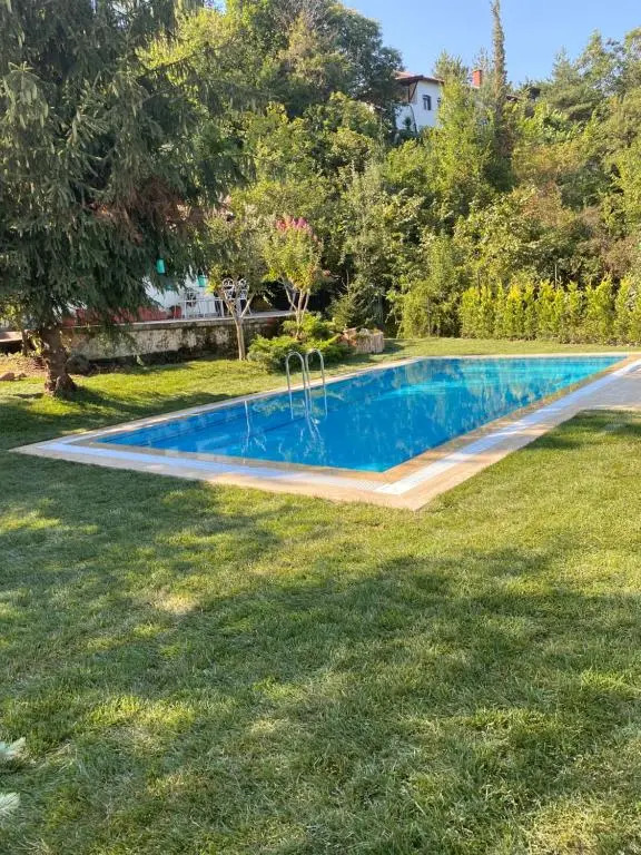 Villa Grande Albero