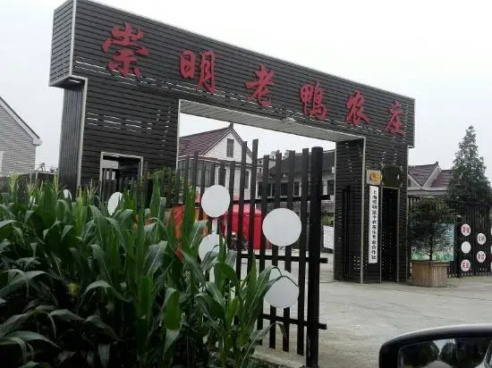 Shanghai Chongming Laoya Farm (No.1 Branch)