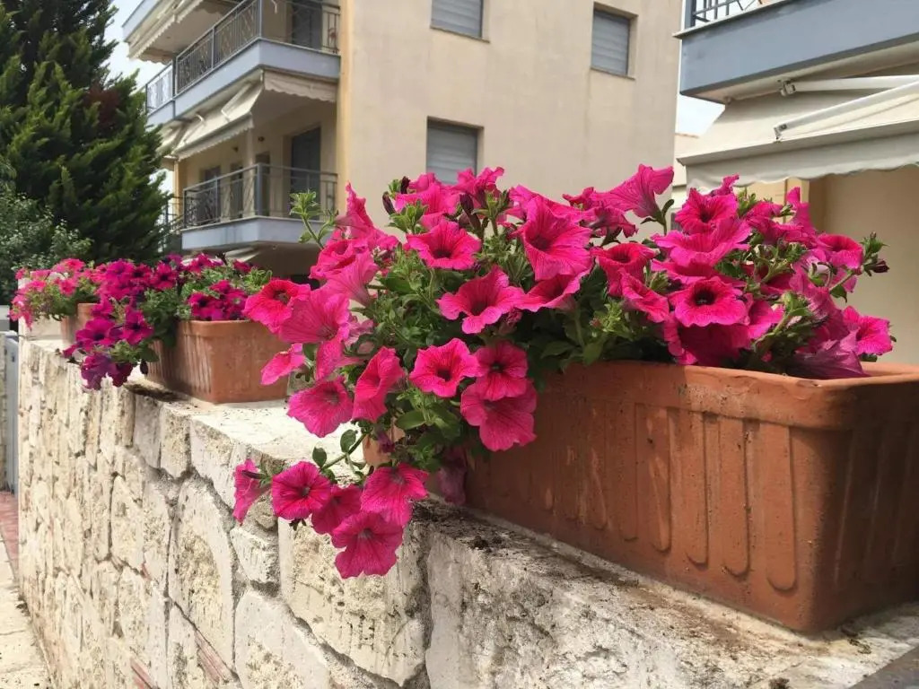 Flexible 2 floor(1st and 2nd floor) house with private parking