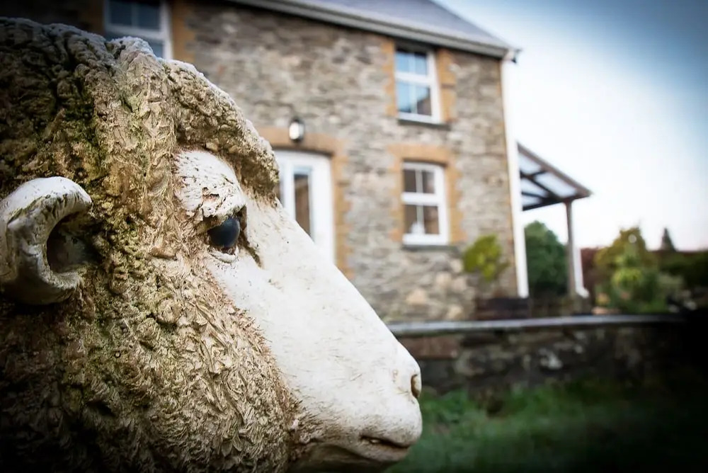 Waunwthan: B&B Suites