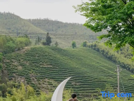 YUNXI Designer Hot Spring Homestay