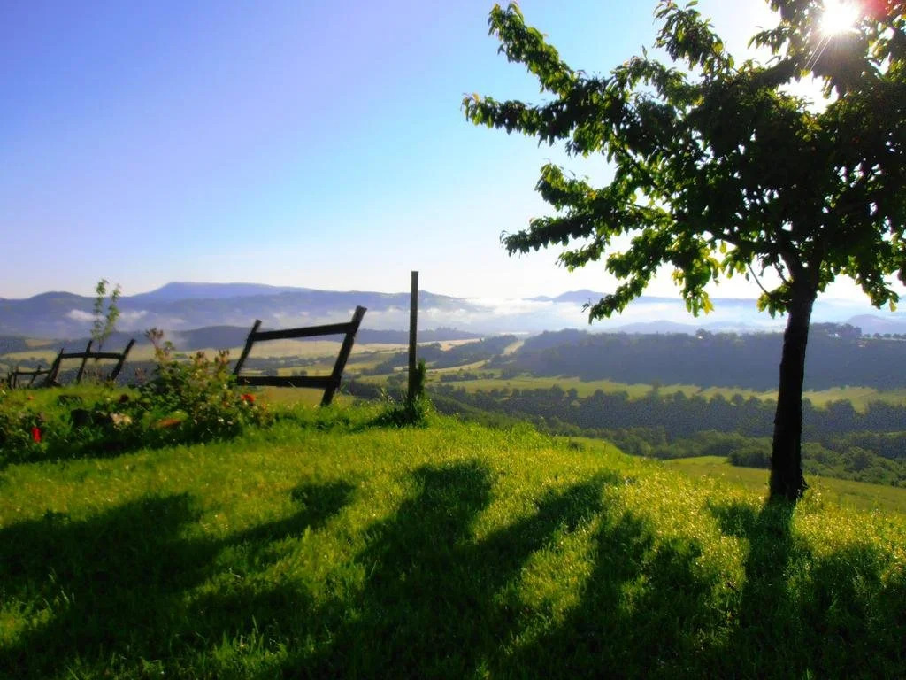 villa colticciola Agriturismo Marche