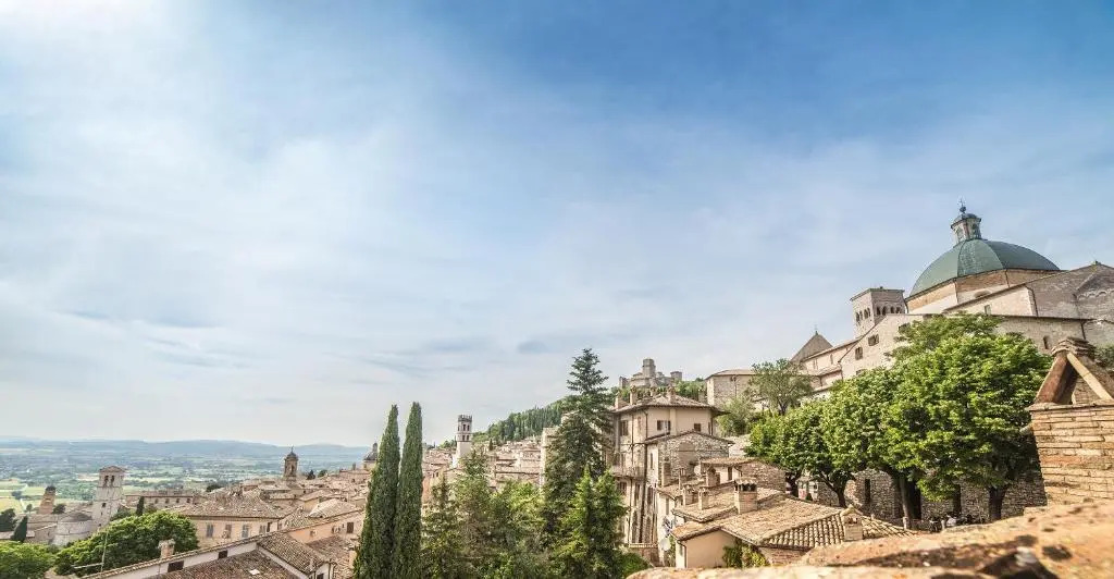 La Viola di Assisi