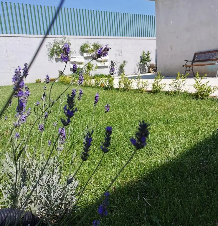 B&B La Casa Bianca